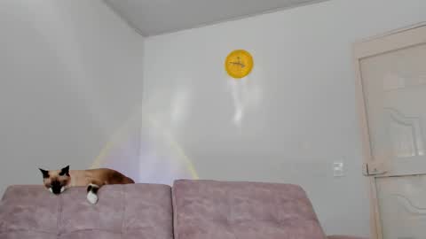 Tammy online show from 15, 2, 2025