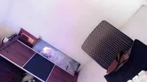 Amaya online show from 8, 10, 2025