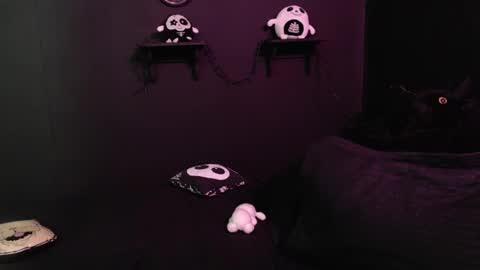 Snapshot of amber_rouss chatting on 3, 10, 2025 ROUSS online show from 3, 10, 2025