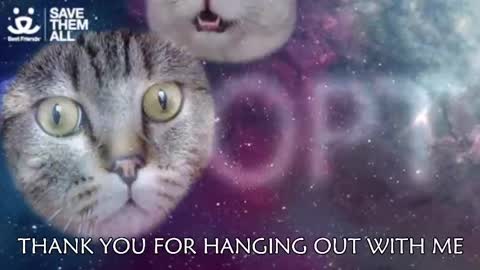 Snapshot of ambersimard chatting on 5, 3, 2025 Amber online show from 5, 3, 2025