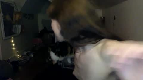 Snapshot of americasweetheart chatting on 27, 3, 2026 jane online show from 27, 3, 2026