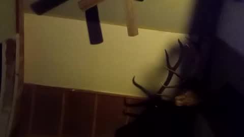 ammoman22 online show from 9, 3, 2025