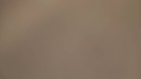 AmorLin online show from 30, 3, 2026