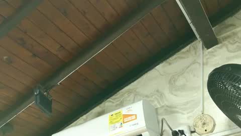 amy_greenee online show from 1, 3, 2026