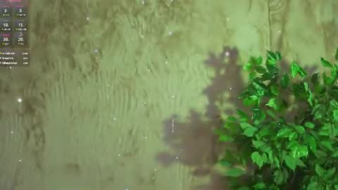 Anabel Kira Zlata Kira Elice Lana Dominika Sofy Kaila Bridget online show from 6, 7, 2026