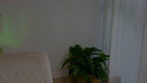 anabelcurvy online show from 13, 5, 2026