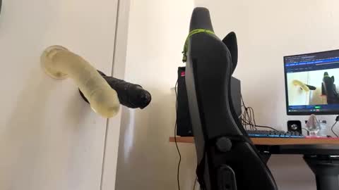 analass_ online show from 20, 9, 2025