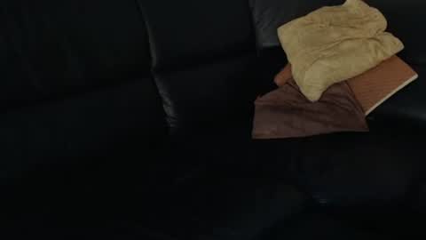 Snapshot of analbottom2 chatting on 1, 2, 2025 analbottom2 online show from 1, 2, 2025