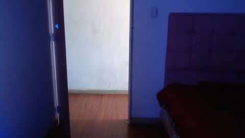 ANA online show from 31, 12, 2024