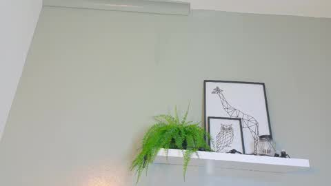 Kendra  online show from 4, 11, 2025