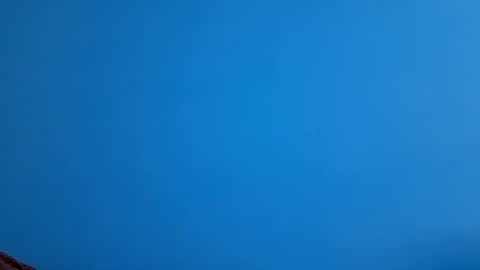 Snapshot of andemax chatting on 21, 11, 2025 And 16.8 online show from 21, 11, 2025