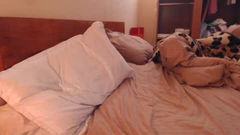 Andra online show from 6, 2, 2025