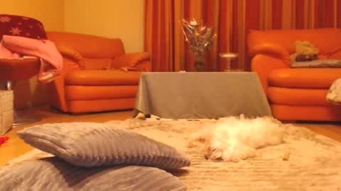 Andra online show from 13, 12, 2025