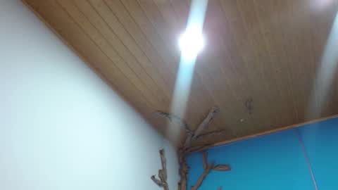 Snapshot of andrebigboobs chatting on 3, 2, 2026 Andre online show from 3, 2, 2026