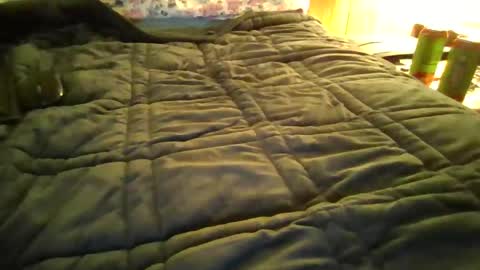 andywan94 online show from 20, 1, 2025