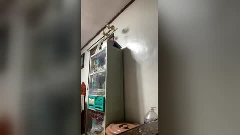 ange011 online show from 23, 3, 2026