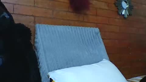  Angela  online show from 19, 12, 2025