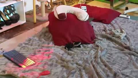 Angel online show from 12, 3, 2025