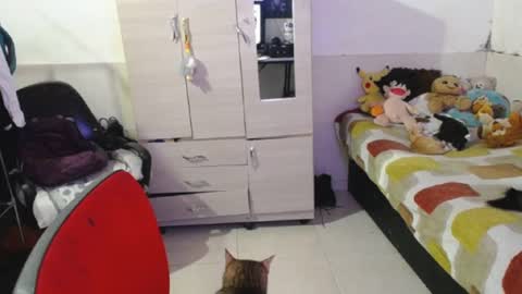 Snapshot of angelswhithe chatting on 25, 9, 2025 angels online show from 25, 9, 2025