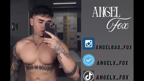 Snapshot of angelx_fox chatting on 8, 11, 2025 Angel Fox online show from 8, 11, 2025