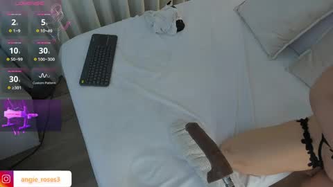 angiee roses online show from 16, 5, 2026