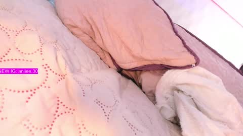 ANIE Broadcasting from 1300 to 2100 online show from 29, 1, 2025