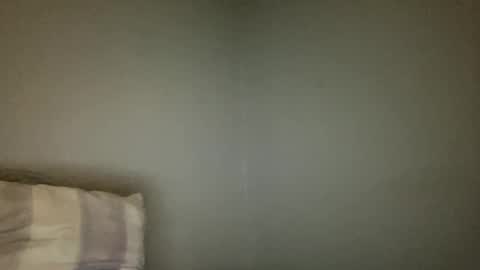 Snapshot of animeboygirls chatting on 2, 1, 2025 Animeboygirls online show from 2, 1, 2025