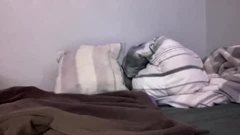 Snapshot of animeboygirls chatting on 10, 1, 2025 Animeboygirls online show from 10, 1, 2025