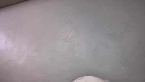 Snapshot of animeboygirls chatting on 19, 10, 2025 Animeboygirls online show from 19, 10, 2025