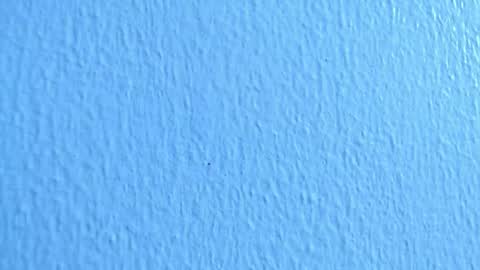 Snapshot of anisston_boods1 chatting on 2, 12, 2024 ana independent model online show from 2, 12, 2024