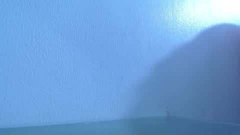 Snapshot of anisston_boods1 chatting on 4, 12, 2024 ana independent model online show from 4, 12, 2024