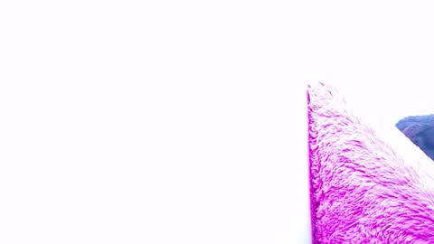 Snapshot of anisston_boods1 chatting on 15, 1, 2025 ana independent model online show from 15, 1, 2025