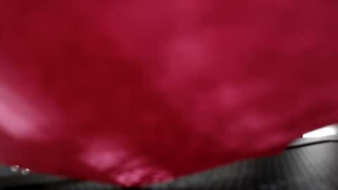 Anna Evodees  online show from 8, 12, 2024