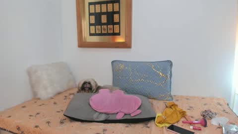 anna online show from 26, 2, 2025