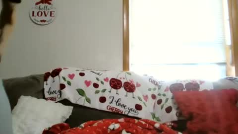 anne online show from 5, 1, 2026