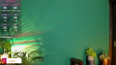 Snapshot of anne_babb chatting on 11, 2, 2025 ANG online show from 11, 2, 2025