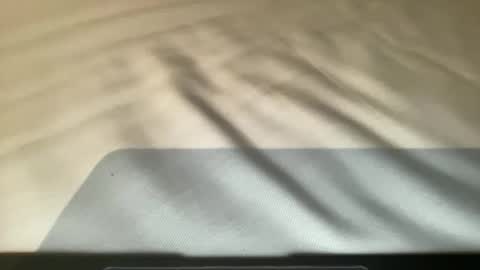 anned1991 online show from 16, 11, 2025