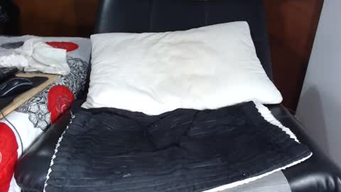 ANNE online show from 13, 2, 2026