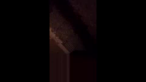 anniebunni online show from 16, 2, 2026