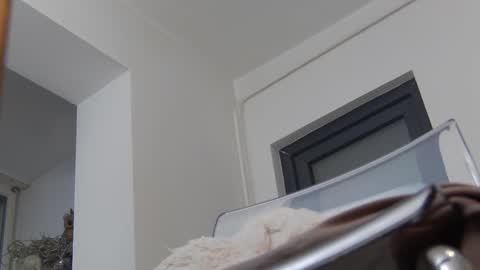 Anna online show from 2, 12, 2024