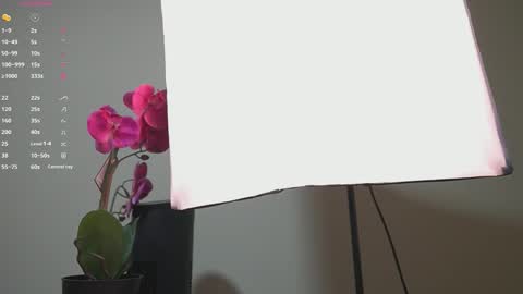 Ana online show from 13, 9, 2025