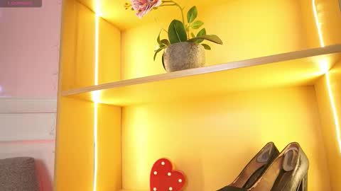 Ana online show from 17, 11, 2025