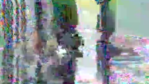 anssyboy696 online show from 7, 11, 2025