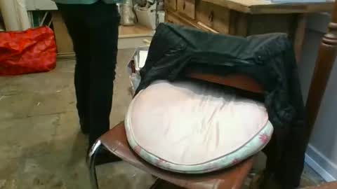 anthonyxxaa online show from 12, 1, 2026