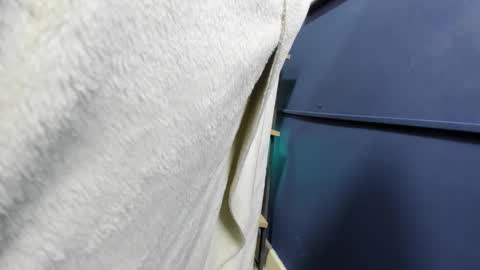 Antonella online show from 24, 2, 2026