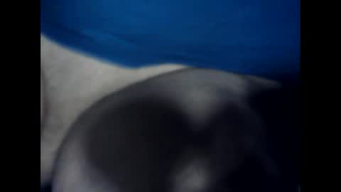 antxon12 online show from 17, 1, 2026