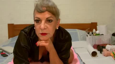 ANY CAT online show from 24, 12, 2024