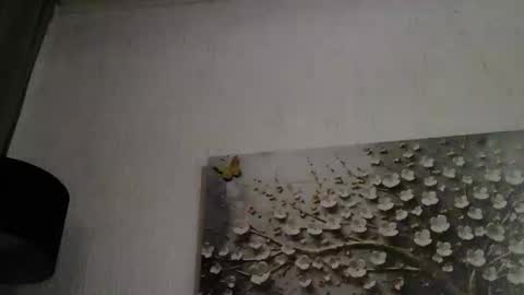 AnyBigTitts online show from 1, 3, 2026