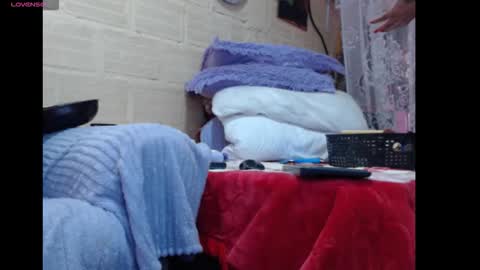 Snapshot of anyholl chatting on 1, 2, 2026 any simsom online show from 1, 2, 2026