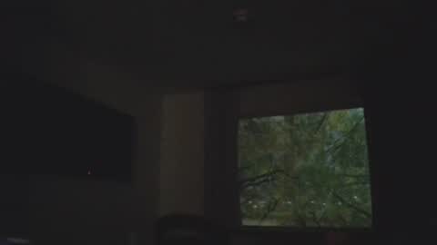 Daddy online show from 4, 11, 2025